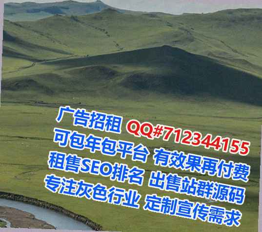 安阳生子数据有限公司